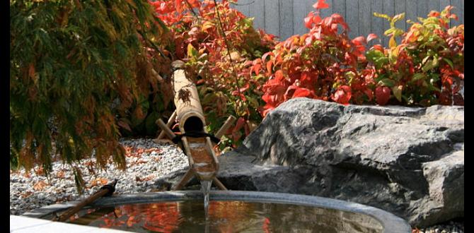 Incorporating water features japanese garden designs for small gardens Incorporating water features japanese garden designs for small gardens