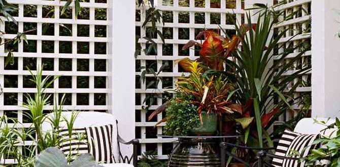Incorporating wooden trellises into garden design wooden trellises for gardens Incorporating wooden trellises into garden design wooden trellises for gardens