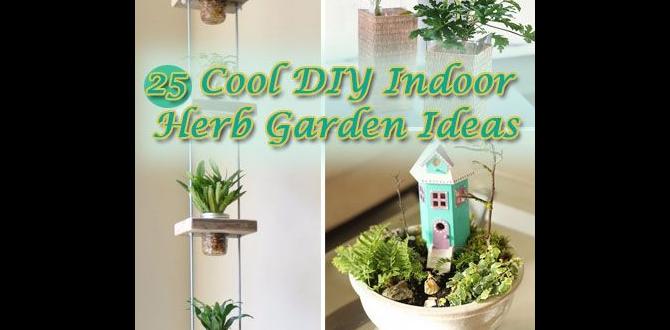 Indoor herb garden options goog ideas for small herb gardens Indoor herb garden options goog ideas for small herb gardens