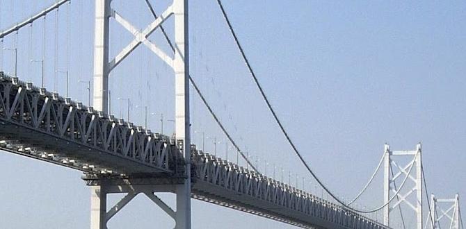 Influence of japanese aesthetics on bridge design japanese bridges for gardens Influence of japanese aesthetics on bridge design japanese bridges for gardens