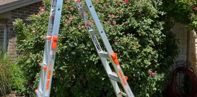 Innovative ladder designs for gardeners ladders for gardening