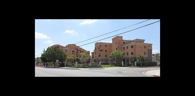 Insights from residents apartments for rent bell gardens Insights from residents apartments for rent bell gardens