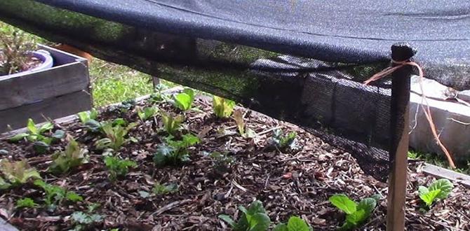 Installation methods for shade cloth shade cloth for gardens Installation methods for shade cloth shade cloth for gardens