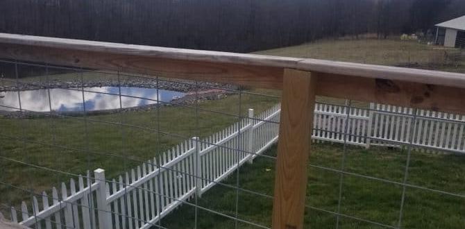 Installation of cattle fence panels cattle fence panels for gardening Installation of cattle fence panels cattle fence panels for gardening