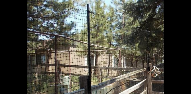 Installation process for deer fences deer fence for gardens