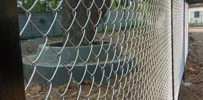 Installation process for wire fencing wire fencing for gardens