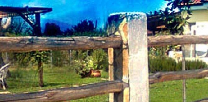 Installation process of wire fencing decorative wire fencing for gardens Installation process of wire fencing decorative wire fencing for gardens