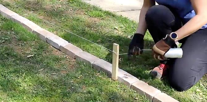 Installation tips for border bricks border bricks for gardens