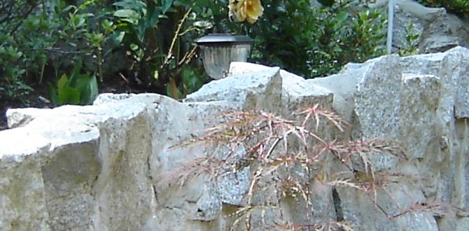 Installation tips for imitation rocks imitation rocks for gardens Installation tips for imitation rocks imitation rocks for gardens