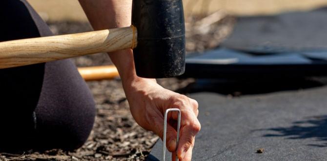 Installation tips for landscape fabric landscape fabric for gardening Installation tips for landscape fabric landscape fabric for gardening