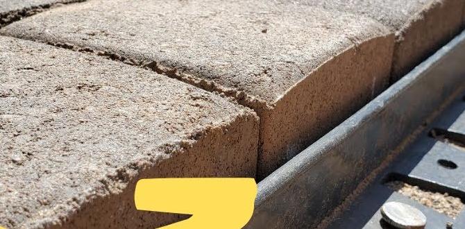 Installing black edging: stepbystep guide black edging for gardens