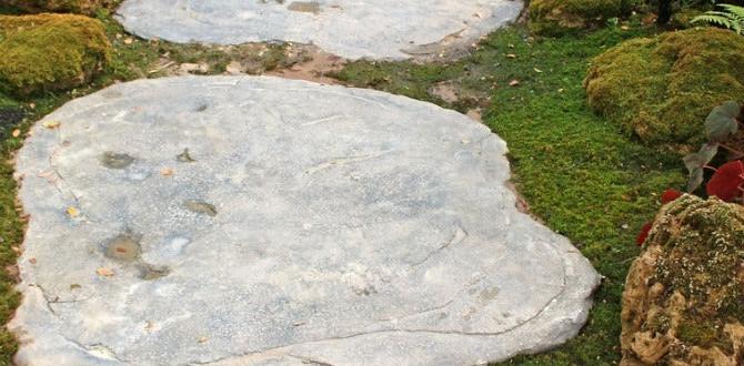 Installing stepping stones stepping stones for gardens Installing stepping stones stepping stones for gardens
