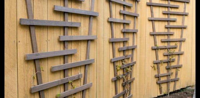 Installing wooden trellises in your garden wooden trellises for gardens Installing wooden trellises in your garden wooden trellises for gardens