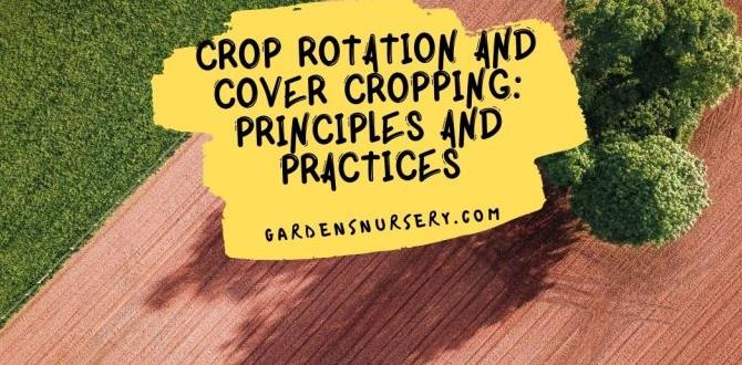 Integrating cover crops into crop rotation spring cover crops for vegetable gardens Integrating cover crops into crop rotation spring cover crops for vegetable gardens