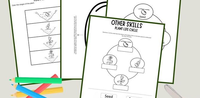 Integrating gardening into the preschool curriculum gardening theme for preschool Integrating gardening into the preschool curriculum gardening theme for preschool