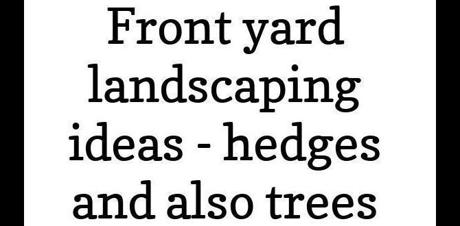 Integrating hedges with other landscape elements hedging ideas for front gardens Integrating hedges with other landscape elements hedging ideas for front gardens