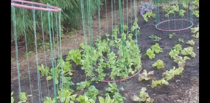 Integrating hoops with other gardening techniques hoops for gardens
