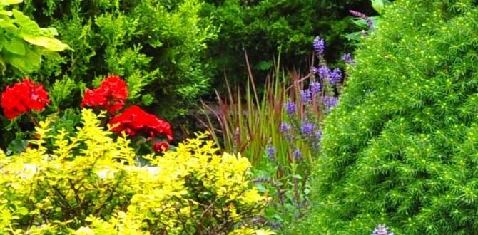 Landscaping trends featuring stone borders stone borders for gardens Landscaping trends featuring stone borders stone borders for gardens