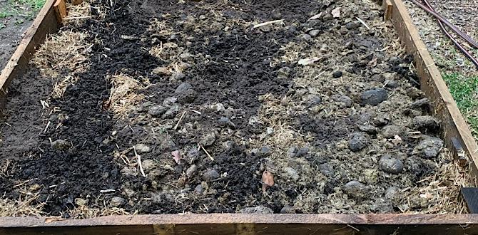 Layering techniques for no dig gardening no dig gardening for beginners Layering techniques for no dig gardening no dig gardening for beginners