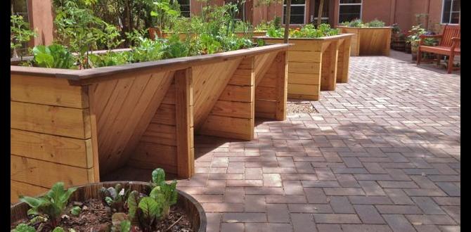 Legislation and standards in garden accessibility gardens for disabled Legislation and standards in garden accessibility gardens for disabled