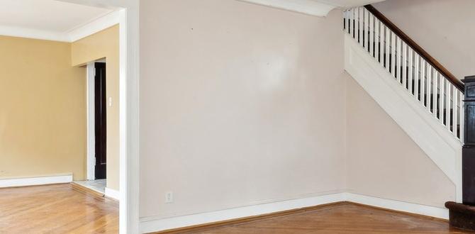 Living in springfield gardens: what to expect apartment for rent in springfield gardens ny 11413 Living in springfield gardens: what to expect apartment for rent in springfield gardens ny 11413