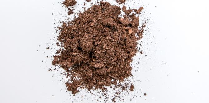 Longterm effects of peat moss on soil health is peat moss good for gardens