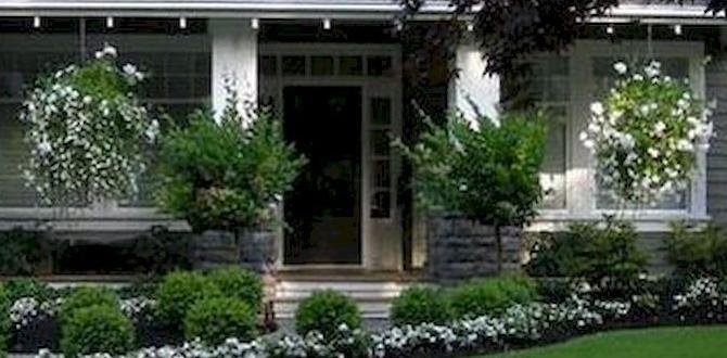 Lowcost landscaping techniques ideas for small front gardens on a budget