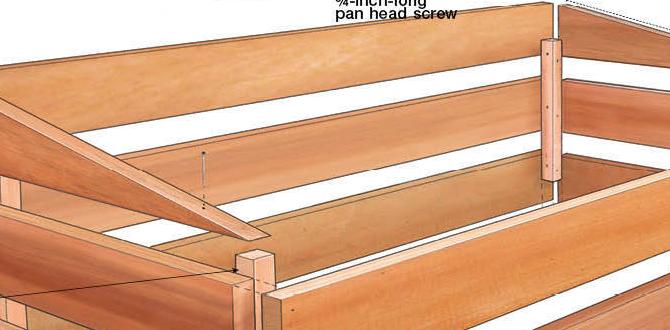 Maintaining a cold frame cold frame for gardening Maintaining a cold frame cold frame for gardening