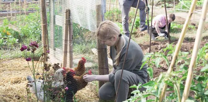 Maintaining a healthy balance are chickens good for gardens