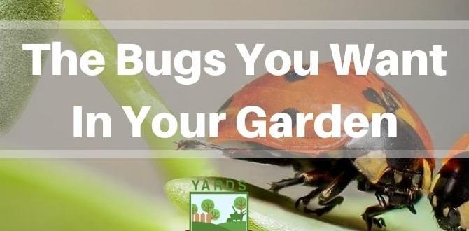 Maintaining a healthy habitat for good bugs good bugs for gardens