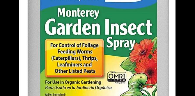 Maintaining a pestresistant garden ecosystem pest control plants for vegetable gardens Maintaining a pestresistant garden ecosystem pest control plants for vegetable gardens