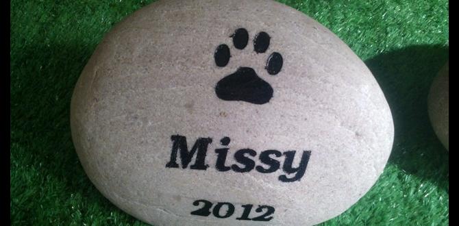 Maintaining and caring for memorial pet stones memorial pet stones for gardens Maintaining and caring for memorial pet stones memorial pet stones for gardens