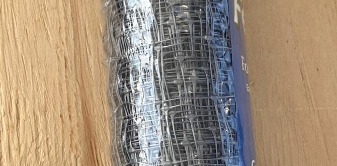 Maintaining and caring for plastic fencing plastic fencing for gardens Maintaining and caring for plastic fencing plastic fencing for gardens