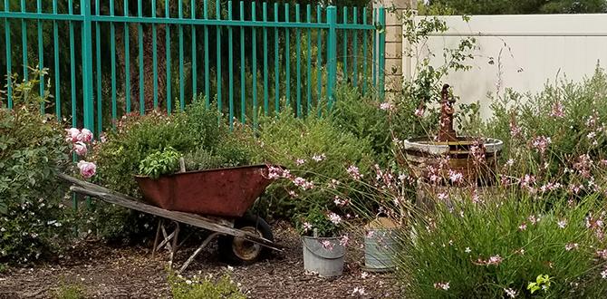 Maintaining and evolving focal points over time focal points for gardens