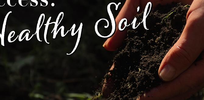 Maintaining soil health for future gardening success test soil for gardening Maintaining soil health for future gardening success test soil for gardening