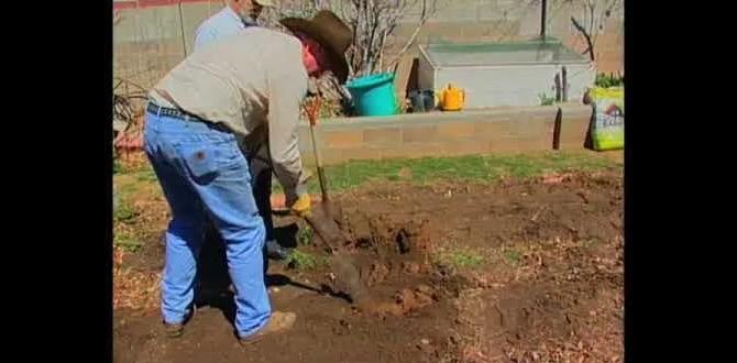 Maintaining soil health how to prepare soil for gardening Maintaining soil health how to prepare soil for gardening