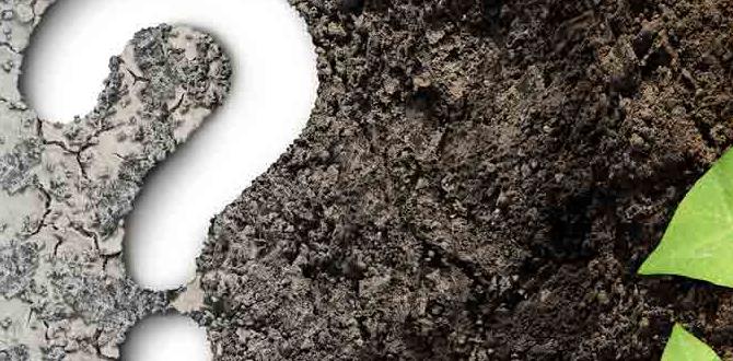 Maintaining soil health in raised gardens soil for raised gardens