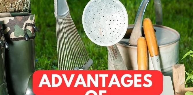 Maintaining your copper gardening tools copper tools for gardening Maintaining your copper gardening tools copper tools for gardening