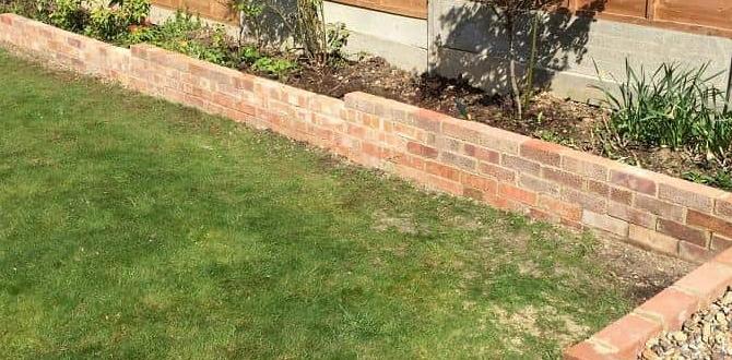 Maintaining your garden border bricks border bricks for gardens
