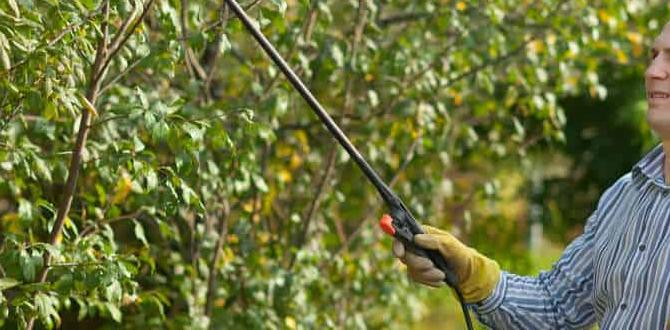 Maintaining your garden sprayer sprayer for gardening Maintaining your garden sprayer sprayer for gardening