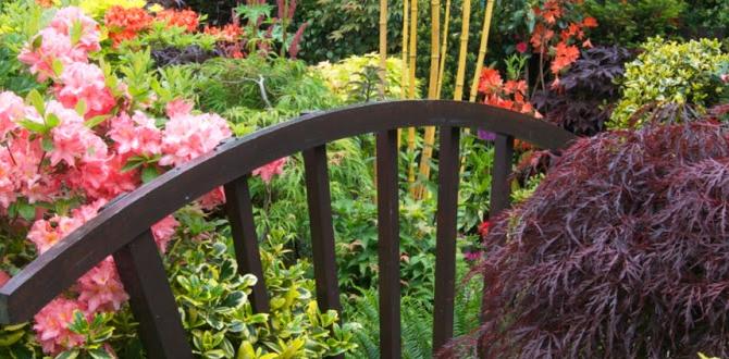 Maintaining your garden throughout the seasons home for gardens Maintaining your garden throughout the seasons home for gardens