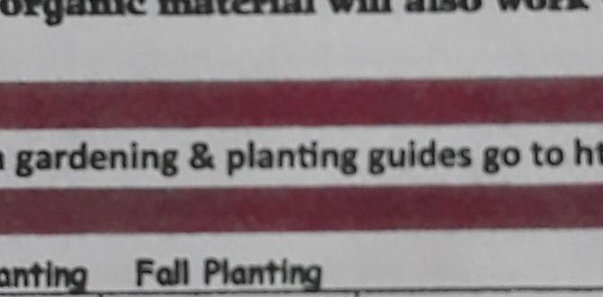 Maintaining your garden's top soil top soil for gardening Maintaining your garden's top soil top soil for gardening