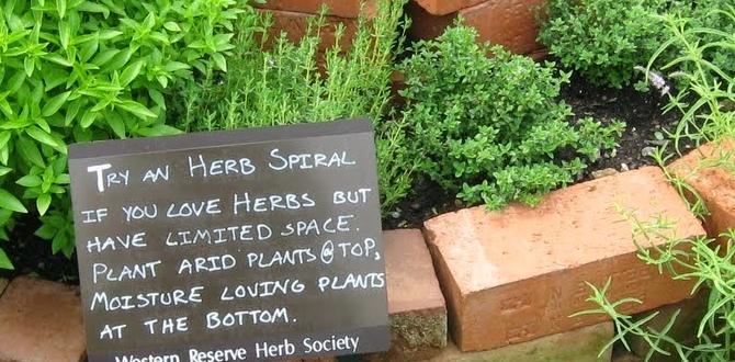 Maintaining your small herb garden goog ideas for small herb gardens Maintaining your small herb garden goog ideas for small herb gardens
