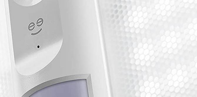 Maintaining your smart floodlights smart floodlight for gardens Maintaining your smart floodlights smart floodlight for gardens