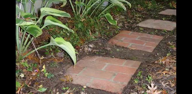 Maintaining your stepping stones stepping stones for gardens Maintaining your stepping stones stepping stones for gardens