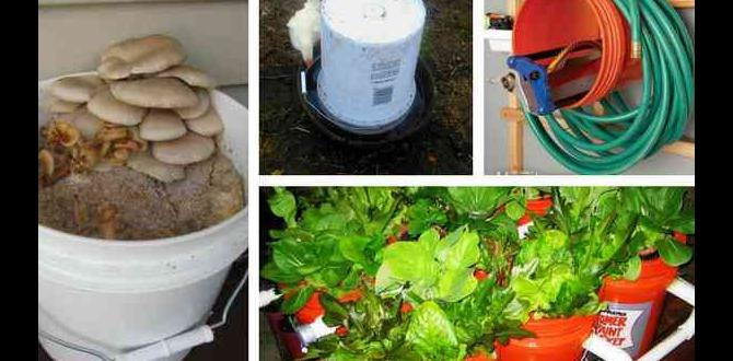 Maintenance and care for 5 gallon buckets 5 gallon buckets for gardening Maintenance and care for 5 gallon buckets 5 gallon buckets for gardening