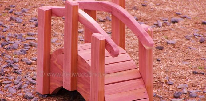 Maintenance and care for miniature japanese bridges miniature japanese bridges for gardens Maintenance and care for miniature japanese bridges miniature japanese bridges for gardens