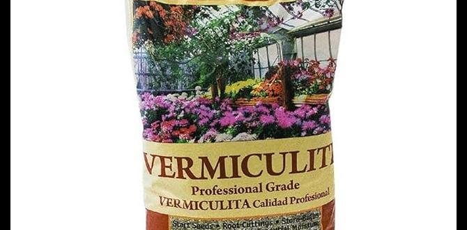 Maintenance and care for potting mix potting mix for container gardening Maintenance and care for potting mix potting mix for container gardening