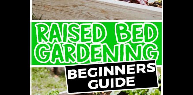 Maintenance and care for raised bed gardens raised bed vegetable gardening for beginners Maintenance and care for raised bed gardens raised bed vegetable gardening for beginners