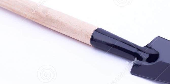 Maintenance and care for your small shovel small shovel for gardening Maintenance and care for your small shovel small shovel for gardening